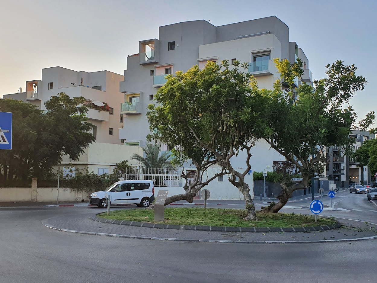 nadia7elloo (2).jpg.jpg